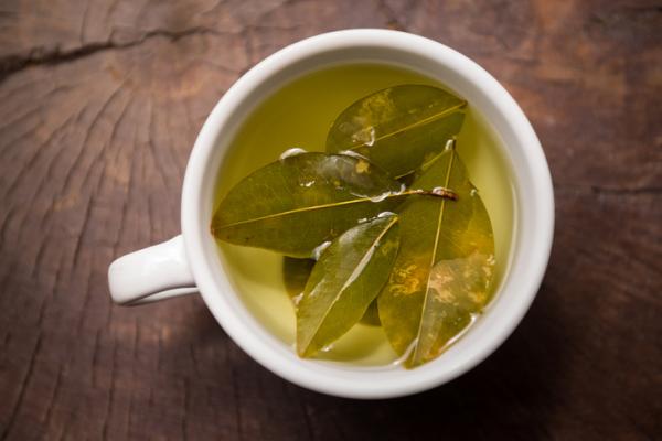 Coca tea benefits, how to drink it and contraindications