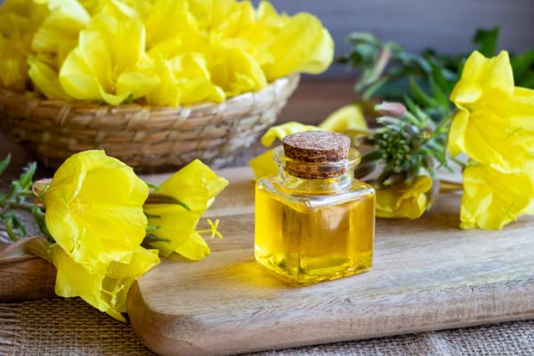 Contraindications of evening primrose oil