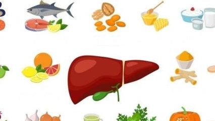 Good foods for the liver
