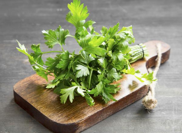 How to clean the kidneys with parsley