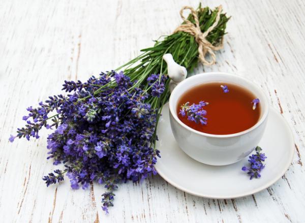 Lavender tea properties, how to make it and contraindications
