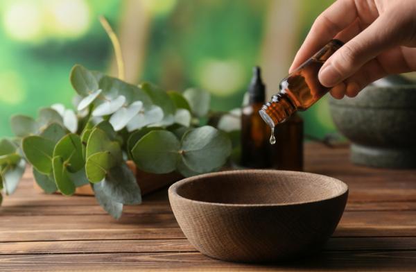 Tea tree oil what it is for, properties and contraindications
