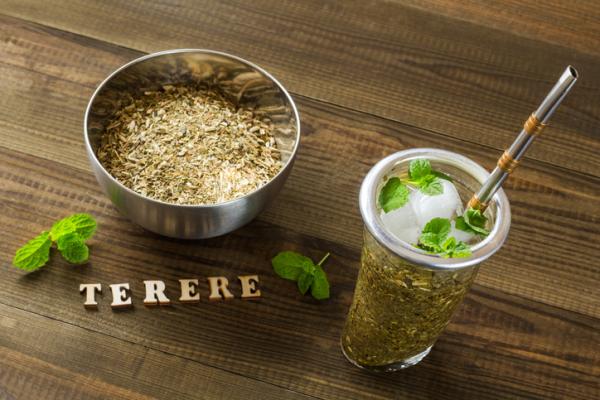 Tereré benefits and how to prepare it
