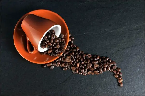 Can I drink coffee if I have fatty liver - here the answer