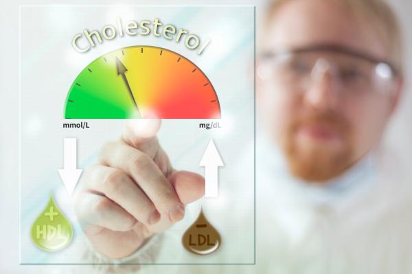 Foods that produce bad cholesterol - get to know them here