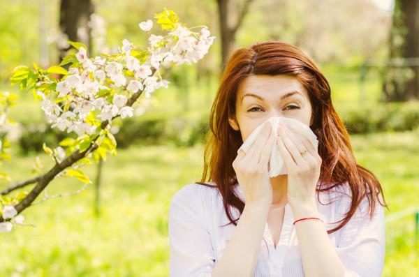 Home Remedies for Pollen Allergy