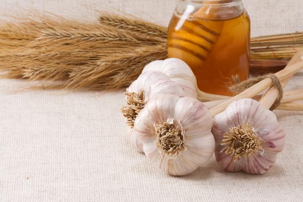 Honey and garlic benefits and how to take it