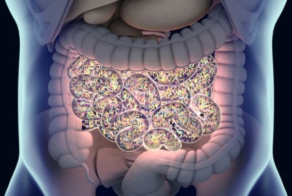 How to cleanse the stomach of bacteria
