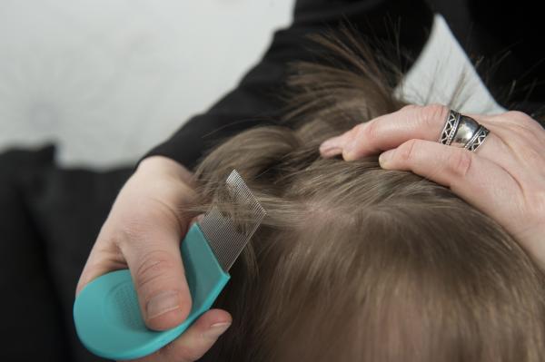 How to remove lice in a day