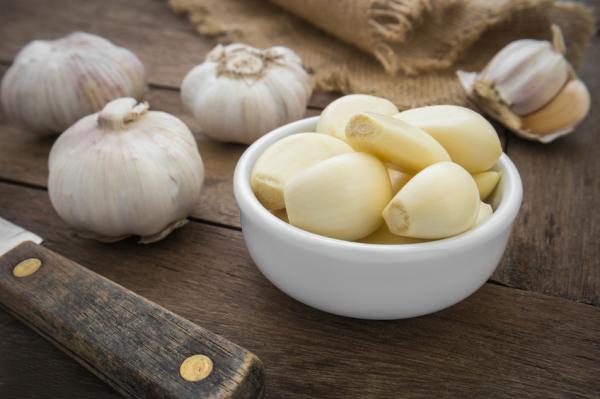 How to use garlic for candidiasis - the best remedies