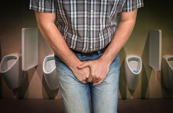 Natural treatment for pollakiuria or frequent urination