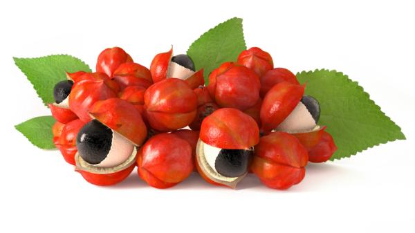 Contraindications and side effects of guarana