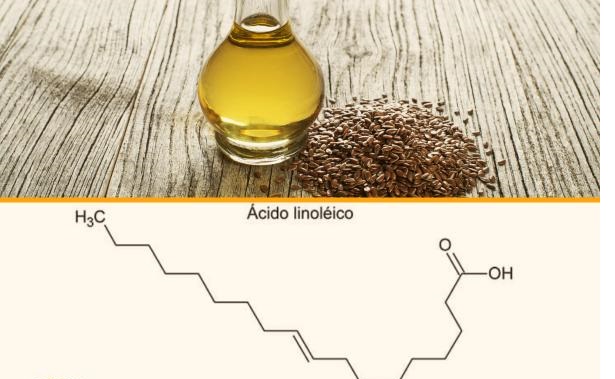 Linoleic acid what it is and what it is for