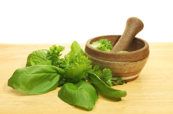Properties of basil for weight loss