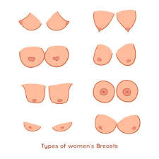 Types of breasts