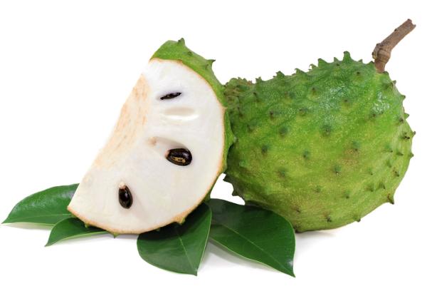 What is the soursop leaf for